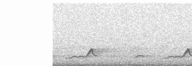 Schwarzkehl-Nachtschwalbe - ML619410629