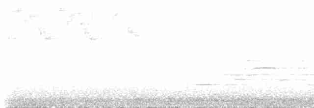 Münzevi Bülbül Ardıcı - ML619410632