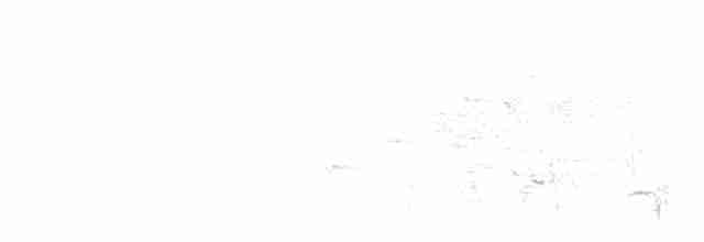 Бурый соловьиный дрозд - ML619410660