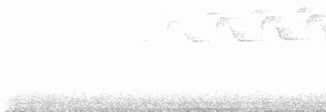 Paruline noir et blanc - ML619410668