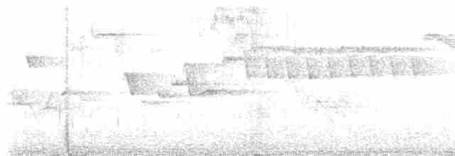 střízlík kanadský - ML619410969