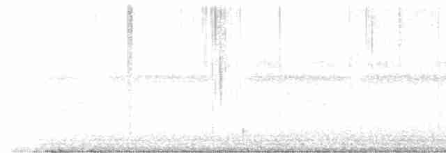 Каролинский крапивник - ML619411337
