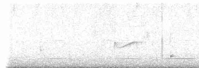 Yellow-bellied Flycatcher - ML619412178