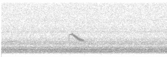 Дрізд-короткодзьоб малий - ML619412486