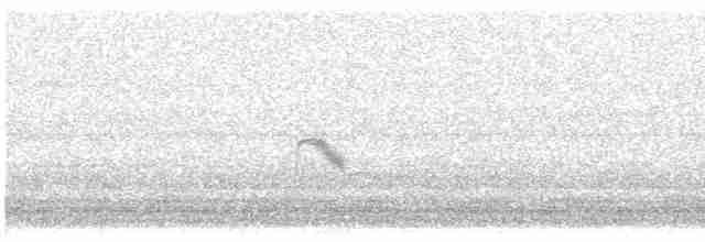 Дрізд-короткодзьоб малий - ML619412487