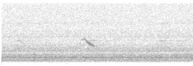 Дрізд-короткодзьоб малий - ML619412488