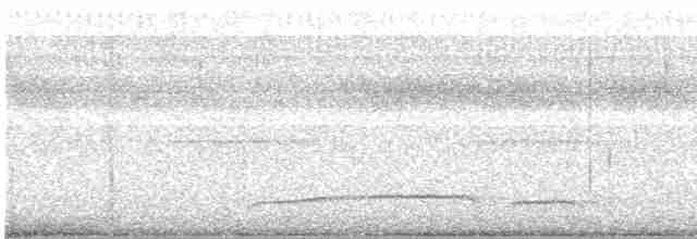 Ошейниковый трогон - ML619412579