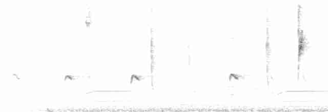 Юнко сірий (підвид mearnsi) - ML619412946