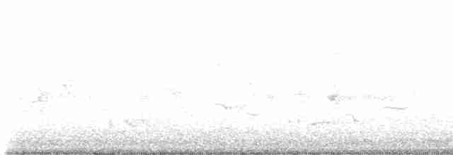 svartbrystparula - ML619413160