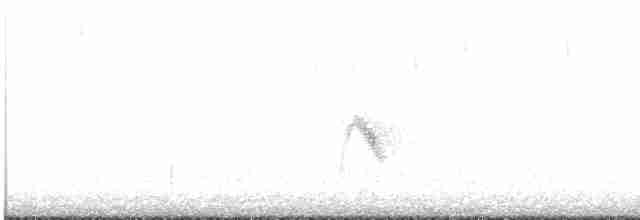 Дрізд-короткодзьоб малий - ML619413352