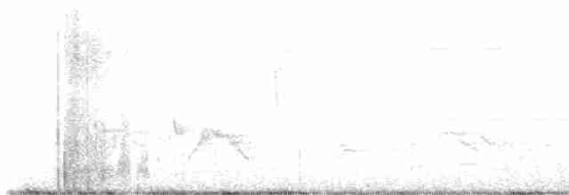 Vireo Ojiblanco - ML619413637