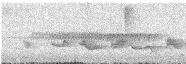Чернокрылая пиранга - ML619414519