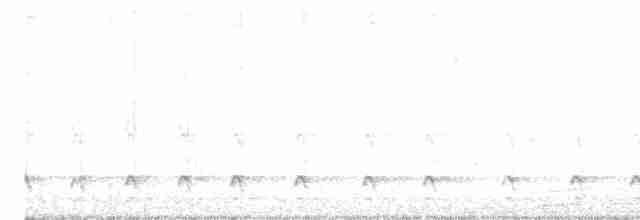hvitbrynsvartspett - ML619414757
