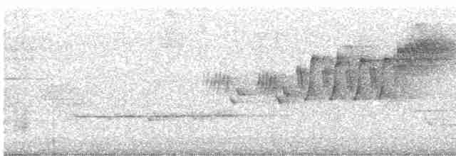 Cerulean Warbler - ML619414853