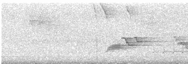 Cerulean Warbler - ML619414863