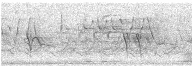 "Шишкар ялиновий (Appalachian, або тип 1)" - ML619415659