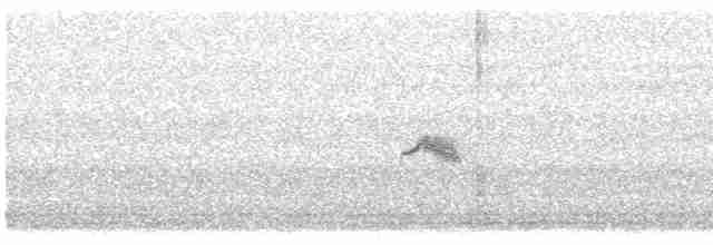 Дрізд-короткодзьоб малий - ML619416132