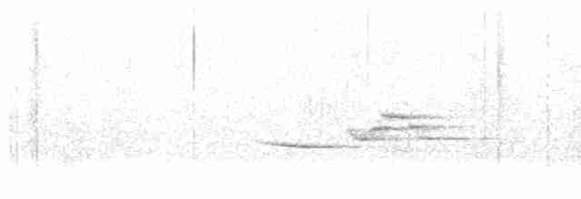 Münzevi Bülbül Ardıcı - ML619416324