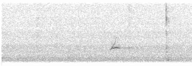Sperlingsvogel, unbestimmt - ML619416329