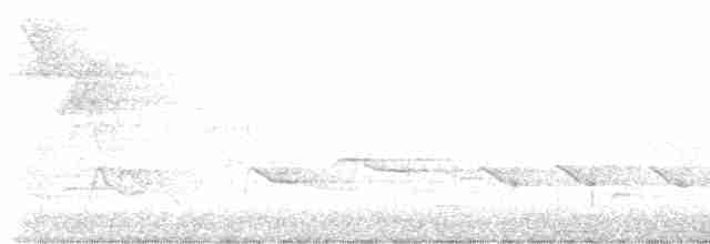オウゴンアメリカムシクイ - ML619416356