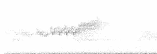 Cerulean Warbler - ML619416691
