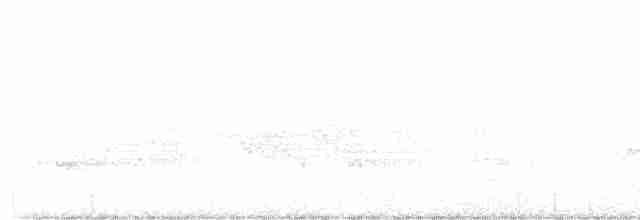 Cerulean Warbler - ML619416692