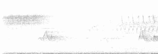 Cerulean Warbler - ML619416693