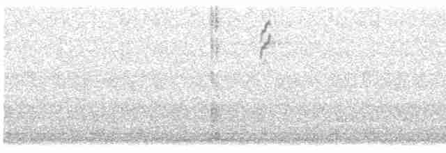 Sperlingsvogel, unbestimmt - ML619416735