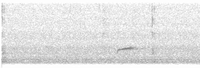 Дрізд-короткодзьоб Cвенсона - ML619416779