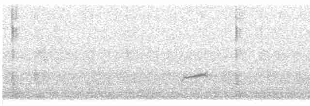 Дрізд-короткодзьоб Cвенсона - ML619416780