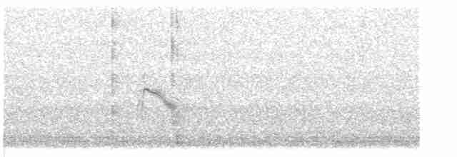 Gri Yanaklı Bülbül Ardıcı - ML619416786