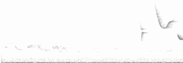 Turuncu Gagalı Bülbül Ardıcı - ML619416937