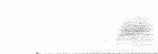 Perlita Cejiblanca - ML619417145