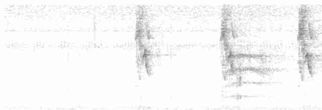 Длинноклювый колибри-отшельник - ML619417567