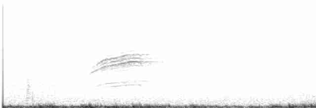 Дрізд-короткодзьоб плямистоволий - ML619418315