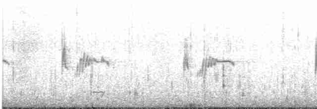 Kaya Çıtkuşu - ML619418609