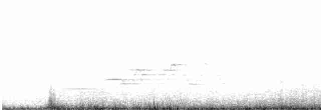 Münzevi Bülbül Ardıcı - ML619418623