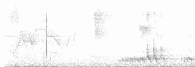 קוקיה שחורת-מקור - ML619419130