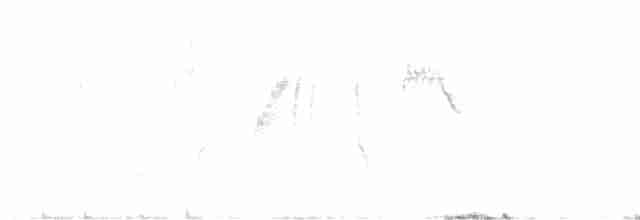 Кропив’янка південноєвропейська - ML619419714