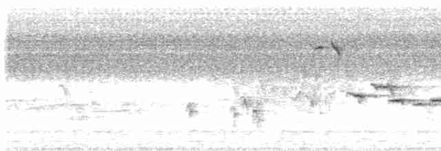 Papamoscas de Tickell - ML619420126