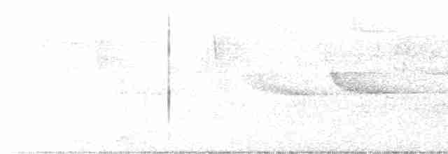Paruline à gorge grise - ML619420195