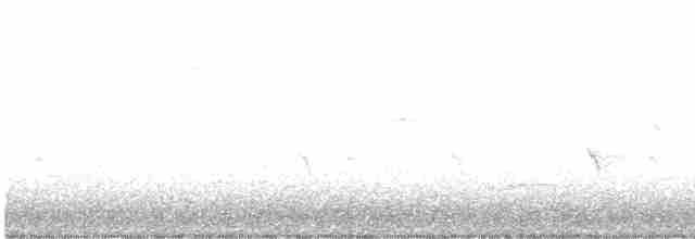Шишкар ялиновий - ML619420534