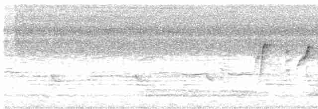 Малабарская нектарница - ML619420640