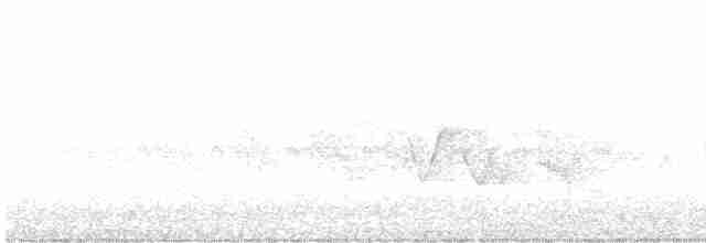 Kara Kanatlı Piranga - ML619421483