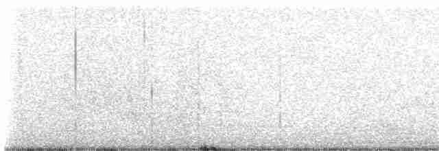 Малая вильсония - ML619421607