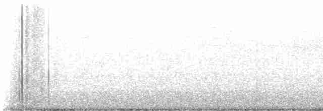 גיבתונית רוננת - ML619421776