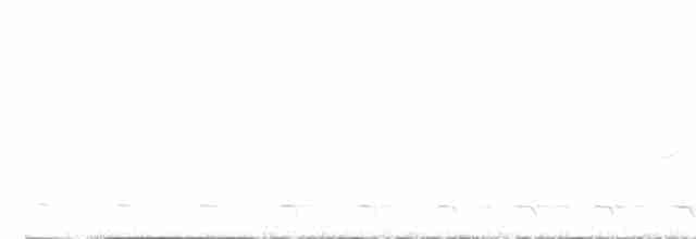 Синешапочный трогон - ML619421884