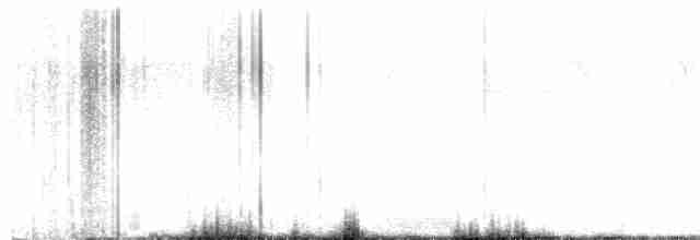 Дрізд-короткодзьоб Cвенсона - ML619422481