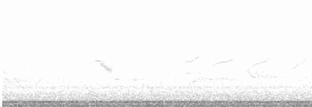 Дрізд-короткодзьоб малий - ML619422989
