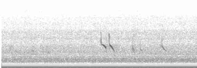 Короткоклювый бекасовидный веретенник - ML619423751